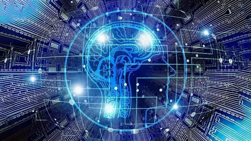 Kripto Dünyasında Şok: Bot Sürüleri Dolandırıcılığın Yeni Yüzü!