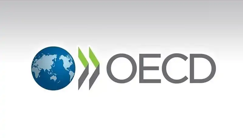 OECD Türkiye İçin Büyüme Tahminini Açıklarken Beklentiler Yükseliyor