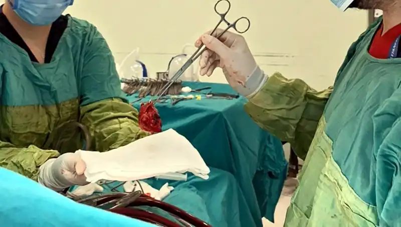 Kalp Kapağı Ameliyatında 7 Saatlik Mucize: Hayat Kurtaran Doktorlar