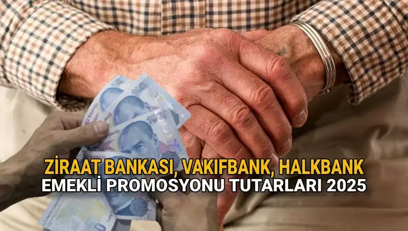 2025'te Kamu Bankaları Emekli Promosyonları: Ziraat, Vakıfbank ve Halkbank'ın Fırsatları