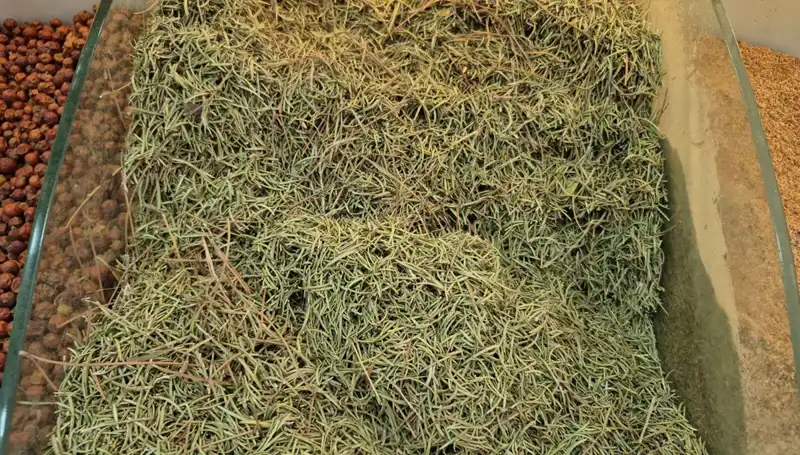 Yaz Aylarında İnternette Artan Tehlikeli Ürün Satışları Neden Yaygınlaşıyor?