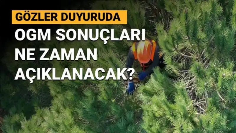 OGM Personel Alımı Duyurusu: 3.477 Sözleşmeli Kadro İçin Başvurular Sonunda Belli Oluyor!