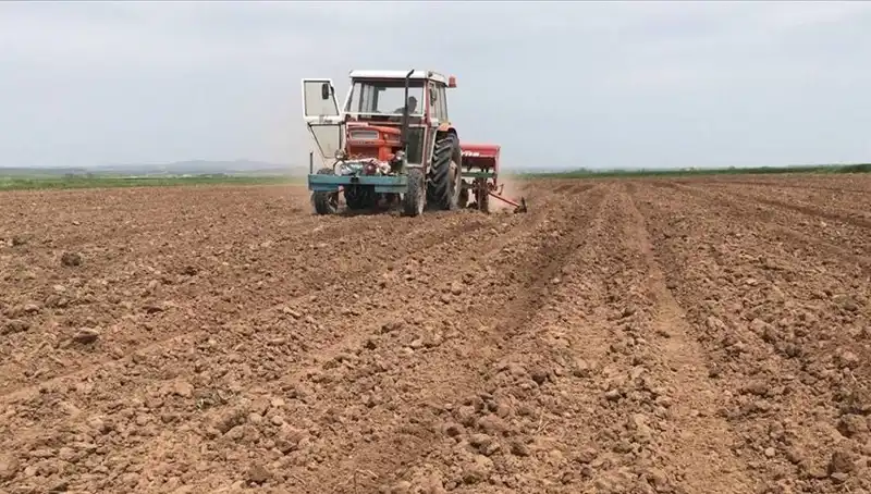 Son 35 Yılın En Kurak Mart Ayı: Yağışlar Neden Bu Kadar Düşük?