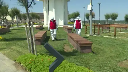 Kene Görülme Sıklığı Artıyor: Halka Açık Alanlarda İlaçlama Başlatıldı