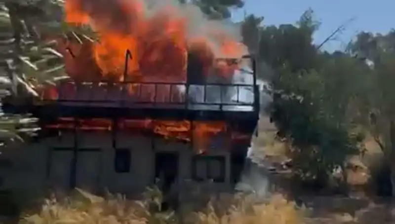 Bodrum'da Yangın Paniği: Ekipler Hızla Seferber Oldu