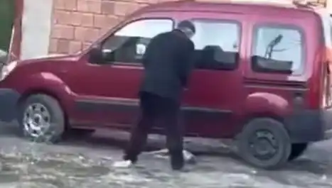 Sokakta Köpeğe Şiddet Uygulayan Gence Ağır Ceza: İnsanlık Dışı Olayın Detayları