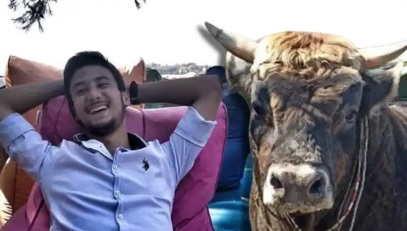 Aydın'da Güreş Boğasının Saldırısı: Hayatını Kaybedenler Var!