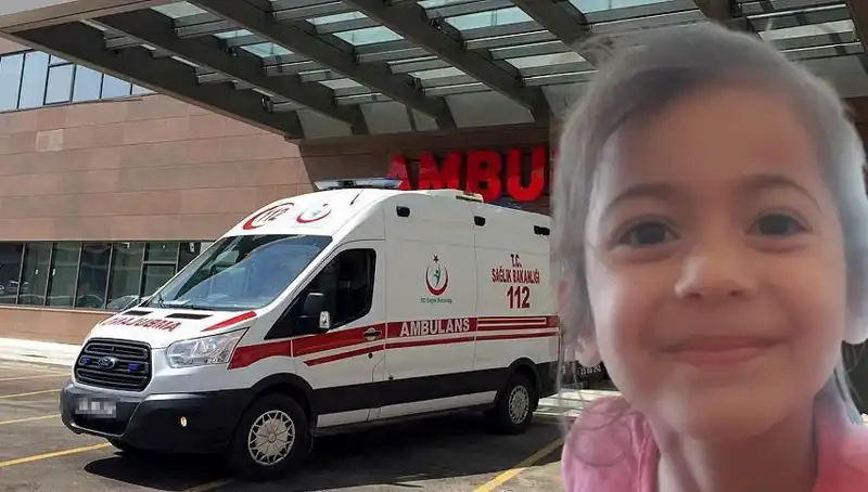 8 Yaşındaki Roza'nın Kayıp Hikayesi: Acı Gerçek On Ay Sonra Ortaya Çıktı