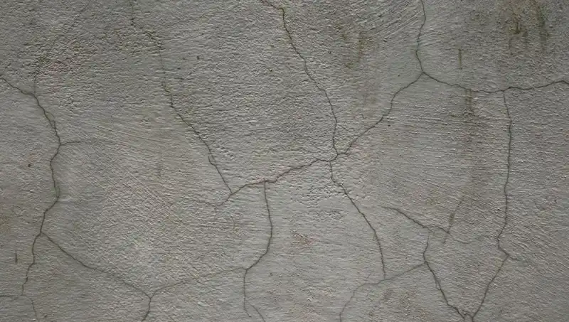 Dünyanın İlk Canlı Betonu: Çatlakları Kendiliğinden Onarıyor!