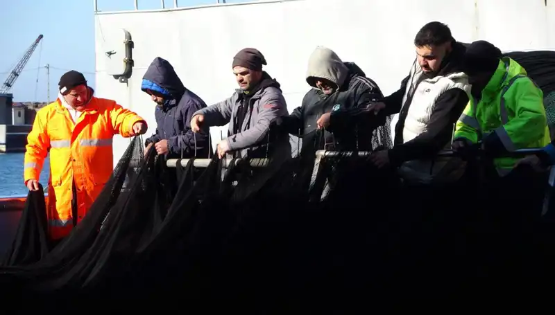 Denizlerde Hamsi Avı Sonunda: Tekneler Erken Veda Etti