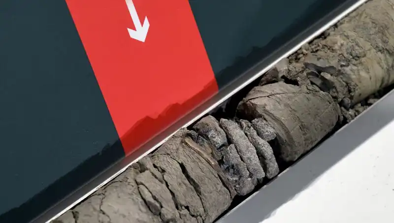 Müze Otoparkında Şaşırtan Keşif: Dinozor Fosili Bulundu