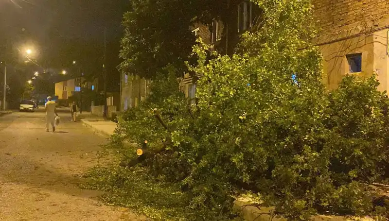 Karabük'te Fırtınanın Yol Açtığı Hasar ve Sonrası