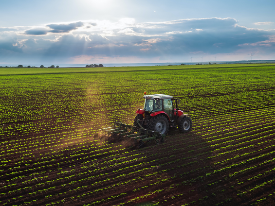 Ekonomik Büyüme Tarımı Neden Kurtaramıyor? Gerçekler Ortaya Çıkıyor