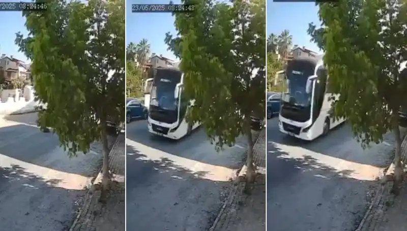 Yolda Yatan Köpeğe Sürücü İhmal Ederek Göz Yumdu!