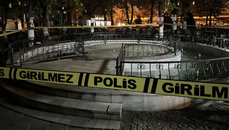 Kırklareli'nde Süs Havuzunda Şok Etkisi Yaratan Olay: 4 Kişi Hastaneye Kaldırıldı