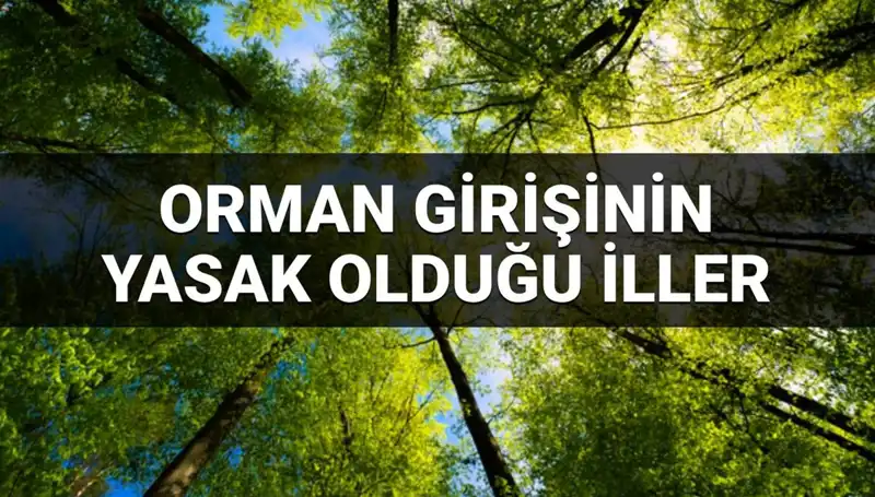 2025'te Ormana Girmek Yasaklanan İller: Doğa Severlere Önemli Uyarılar