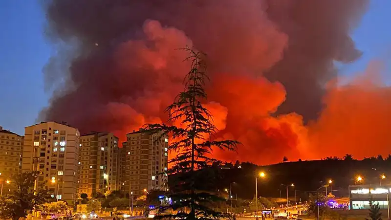 Bursa'da Yangınlar Şehri Korku İçine Sürükledi