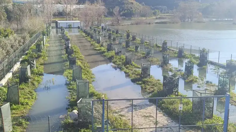 Irmak Taşkınları Otoyol Şantiyesini Sular Altında Bıraktı!