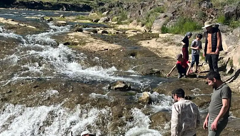İnci Kefalinin Uzun Yolculuğu: Doğa Harikası Turistleri Büyülüyor