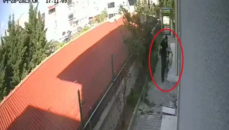 Veteriner Doktor, Sahiplendiği Köpekleri Evde Parçaladı!