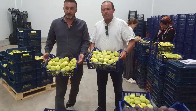 Mersinli Çiftçilerin Yüzü Güldü: Tanesi 20 TL'den İhraç Edilen Ürünler