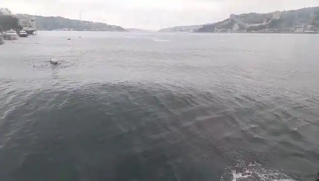 İstanbul Boğazı'nda Sıra Dışı Dalgalar: Doğa Rüzgarını Estiriyor