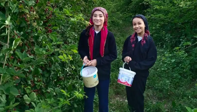 Antioksidan Zenginliği: Kanser ve Tümör Hücrelerinin Büyümesine Karşı Etkili Mücadele