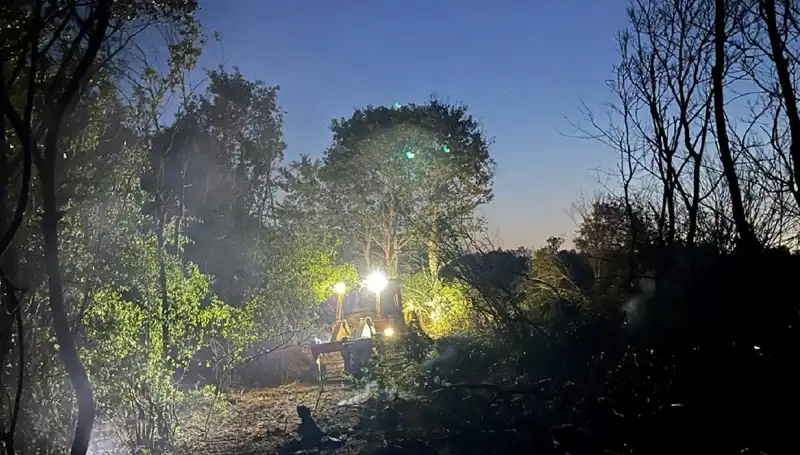 Edirne’deki Orman Yangını Sonuçsuz Kaldı: Ekipler Zoopark’tan Tahliye Edildi