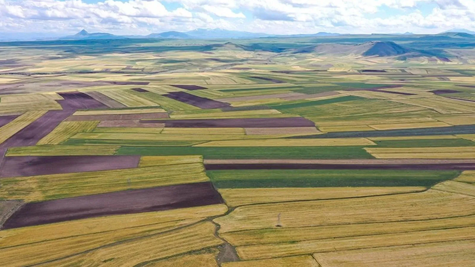 Enerji Projelerinde Acele Kamulaştırma Kararları Resmi Gazete’de Yayımlandı