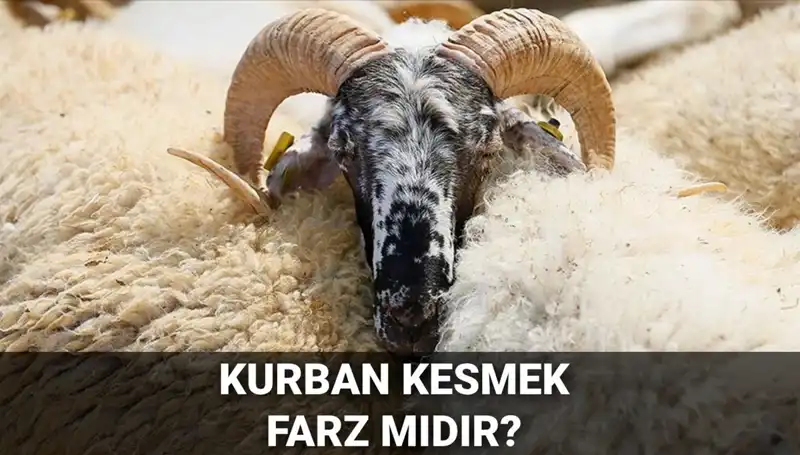 Kurban Kesmek Farz mı? Diyanet'ten Beklenen Açıklamalar
